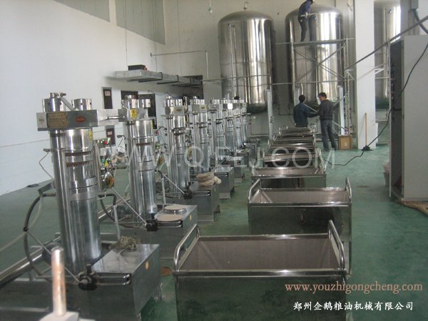 核桃油提取設(shè)備 企鵝牌核桃油設(shè)備 質(zhì)優(yōu)價好！(圖2)